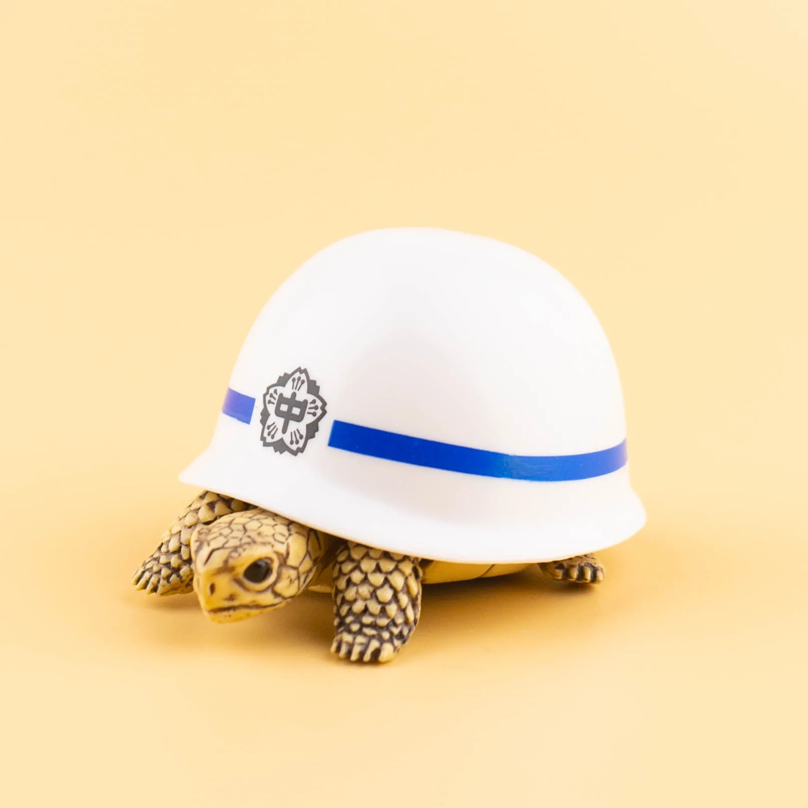 Japan Kitan Gashapon Capsule Toy indossando casco tartaruga animale assemblare modello nuova figura bambola