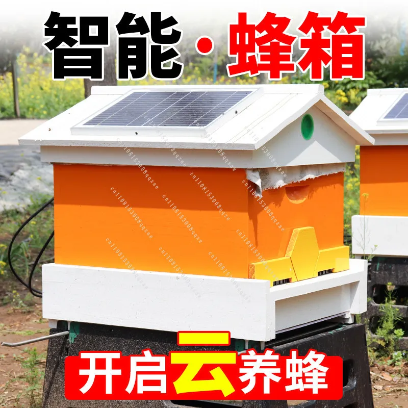 New Type of Intelligent Bee Italian Bee Solar Power Supply Honeycomb Can Adjust The Temperature and Humidity in The Inductively