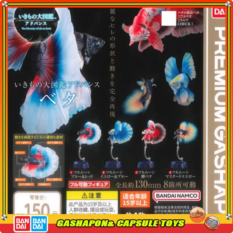 

BANDAI Biological Encyclopedia Action Figures Model Tropical Fighting Fish Gashapon Genuine Collect Ornaments Simulated Animal