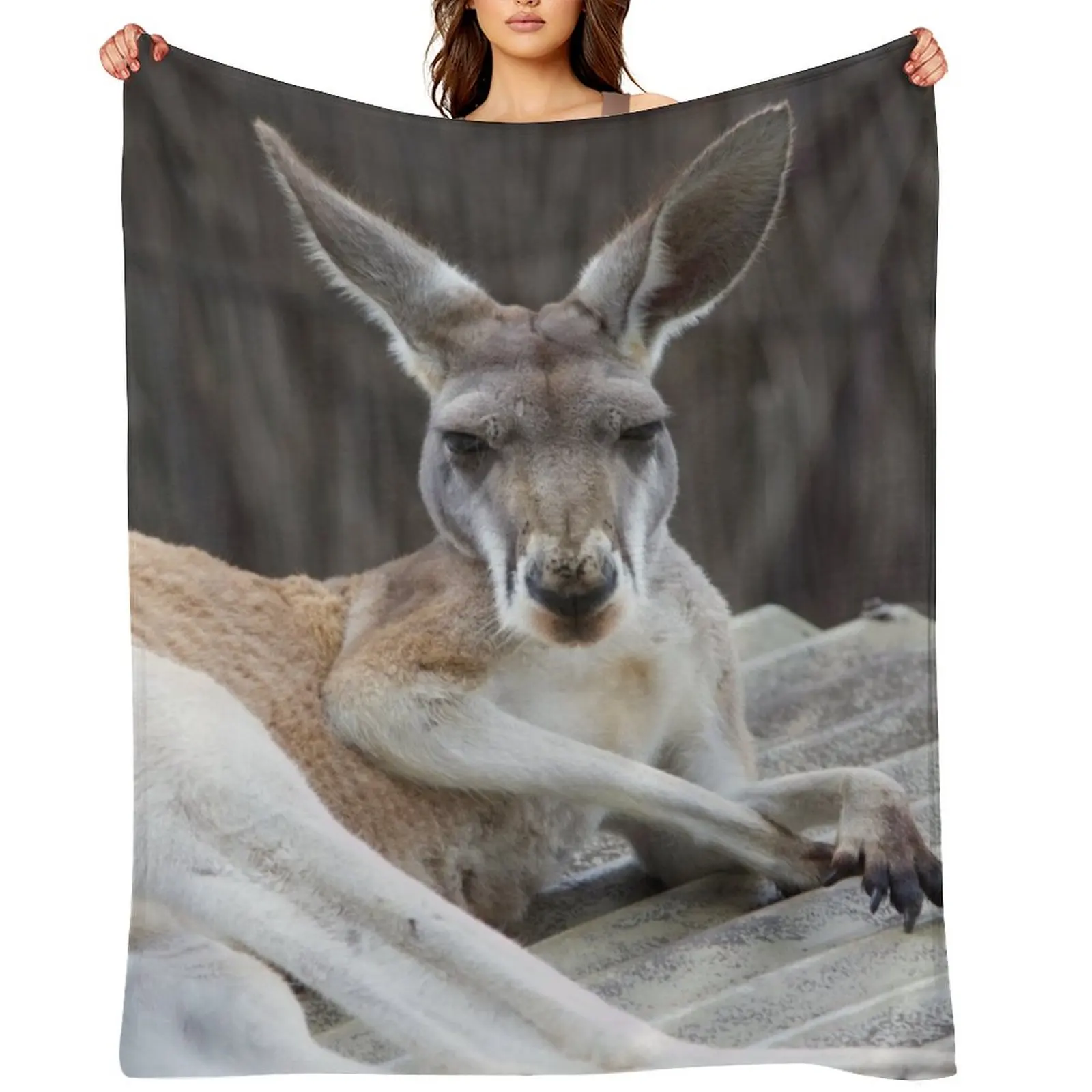 

Red Kangaroo Throw Blanket Large Beautifuls Cute Plaid Fashion Sofas Blankets