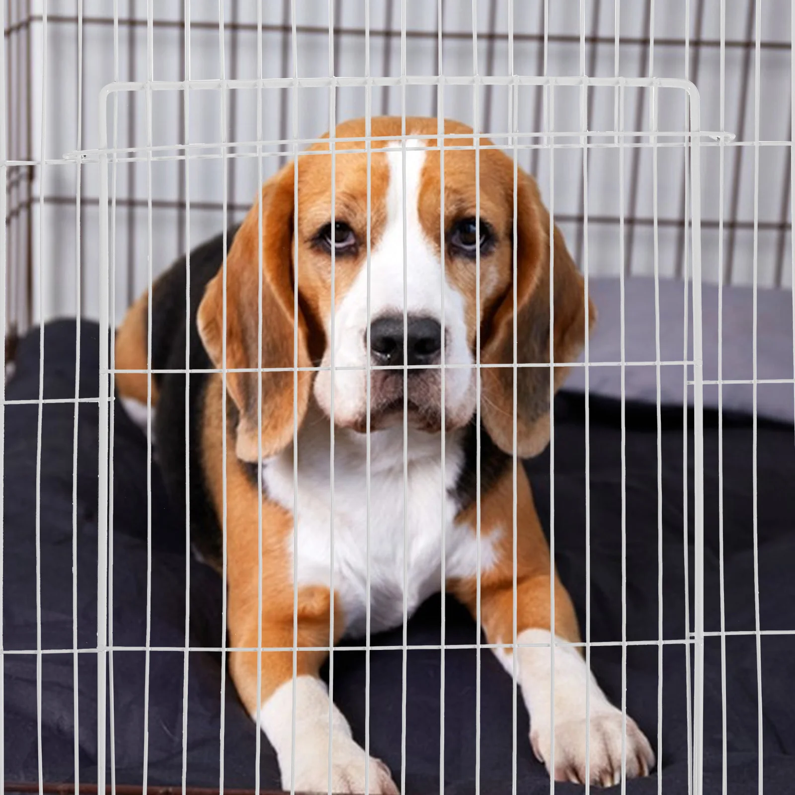 

Cat Cage Replacement Door Dense Mesh Metal Wire Screen Panel 35x45cm Secure Pet Enclosure Door for Indoor Outdoor Use