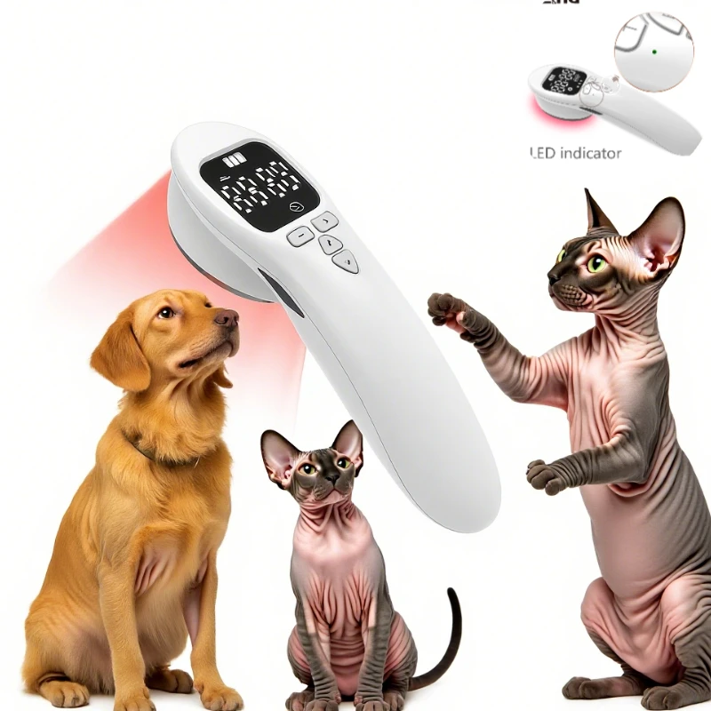 

Handheld Pet Laser Therapy for Cat Arthritis Relief - Safe Home Treatment