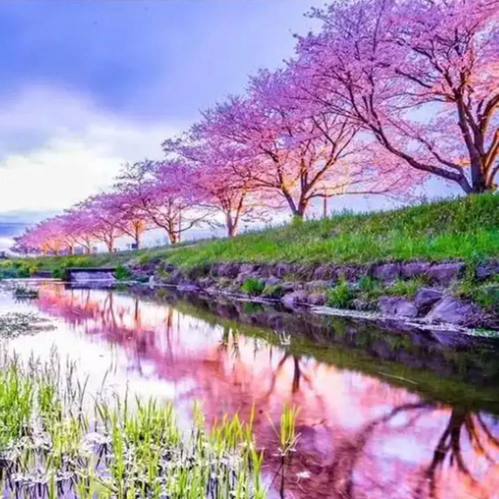 

Система непрерывной подачи чернил с чипом ARC, совместимая с принтером Epson Stylus R2400 2400, Ciss T0591 - T0599