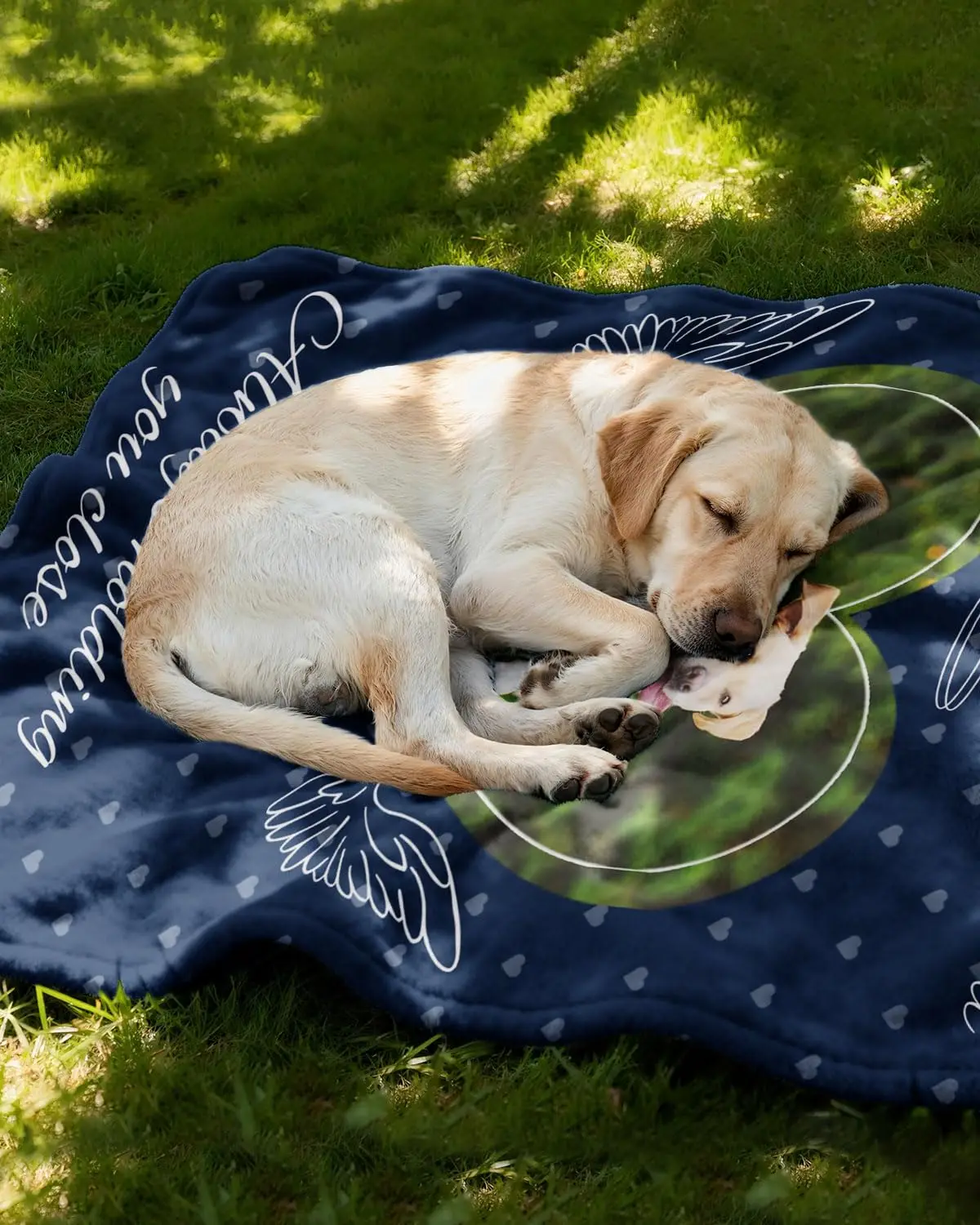 Pet Personalized Custom Flannel Blanket Customized Photo/Logo Blanket Soft Cozy for Family Beds Sofas Offices Camping