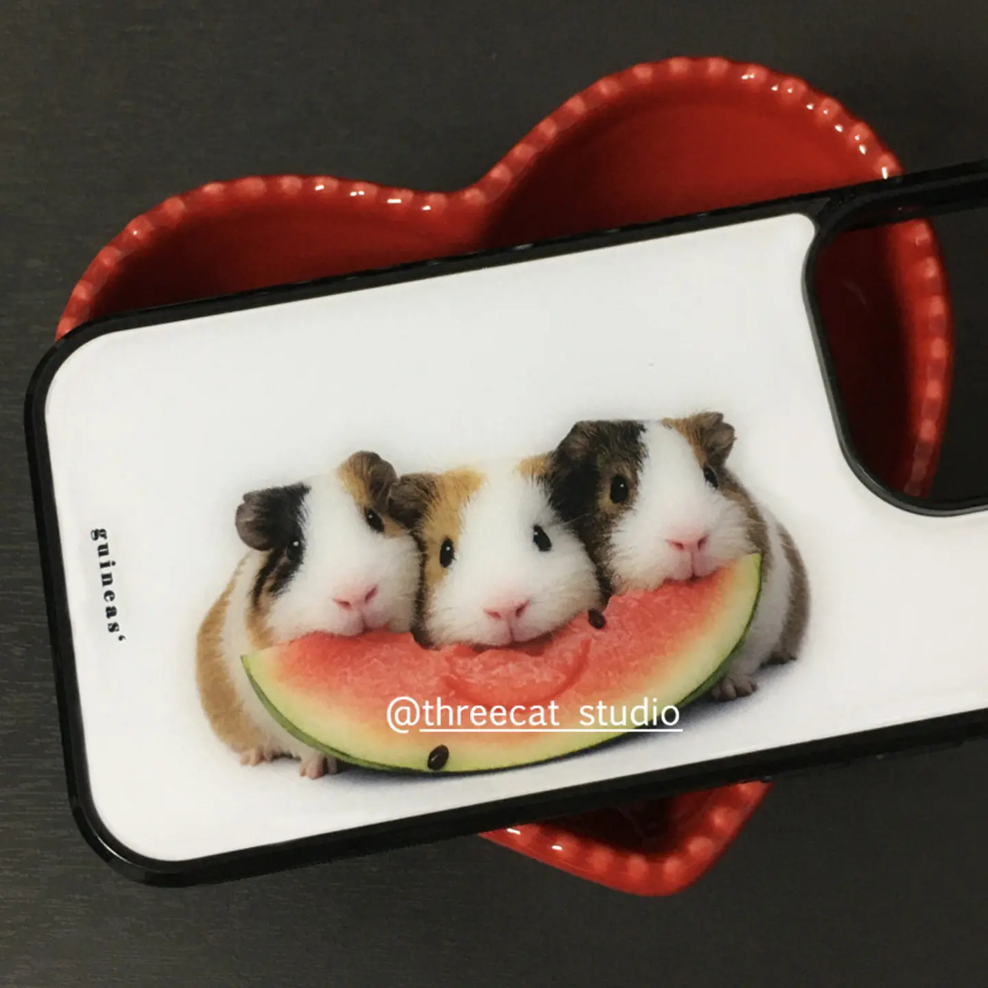 Korean Ins Guinea Pig Eat Watermelon Phone Case For iPhone 17 Air 16 Pro Max 15 14 Plus 13 12 11 Shockproof Silicone Back Cover view 3