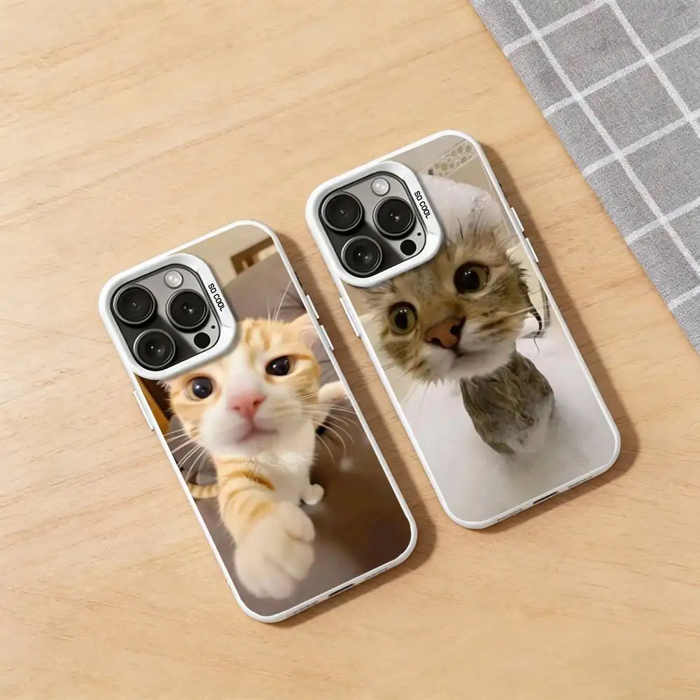 

Funny Cat Memes Phone Case for iPhone 17 16 15 14 13 12 11 Pro Max XR XS 8 7 Plus 16E Soft Silicone Cover