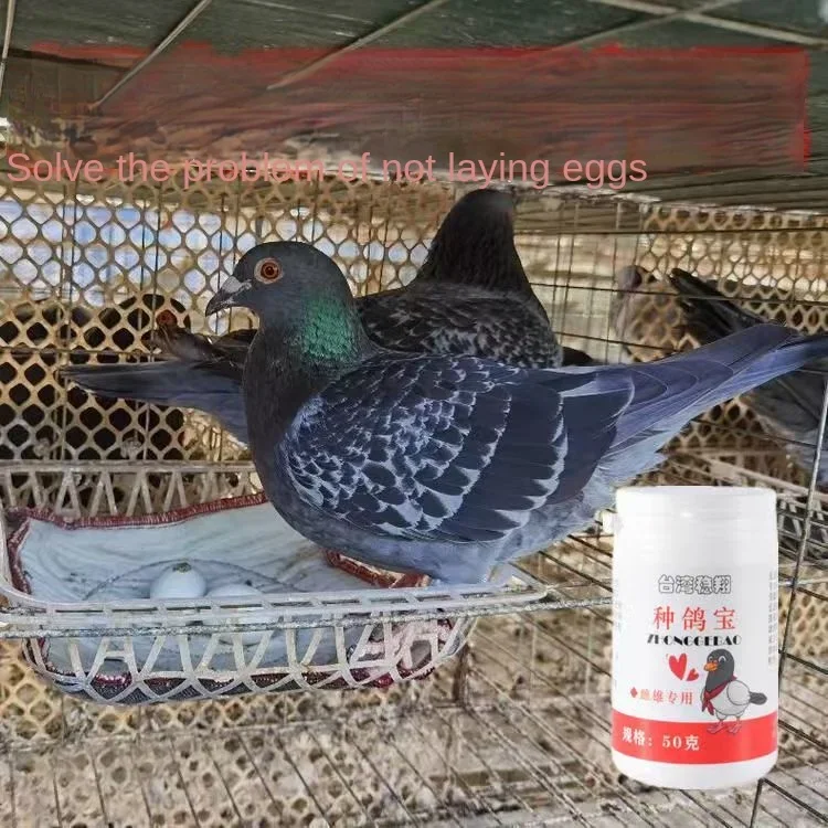 Breeding pigeon treasure 50g female pigeon Male pigeon increase fertilization improve egg Racing pigeons Nestlings Pigeons