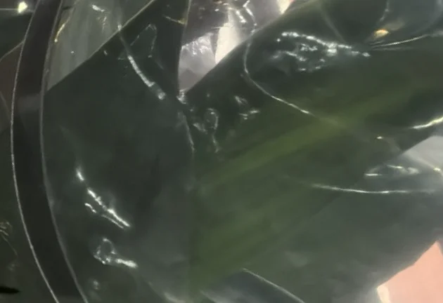 

5X 1409999 Лента кодировщика CR для EPSON L800 L801 L805 L810 L850 R260 R265 R270 R280 R285 R290 R295 R330 R360 R390 R825 P50