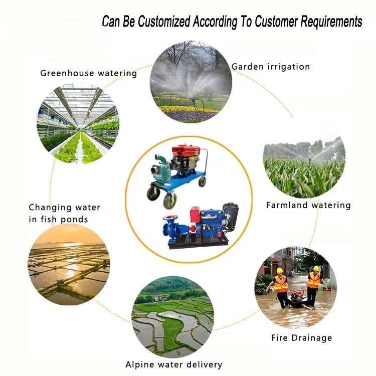 High Pressure 10 120 Self-Priming Farming Engine Water Pump 4 6 8 10 Inch Farm Irrigation Sprinkler Agriculture Pump view 3