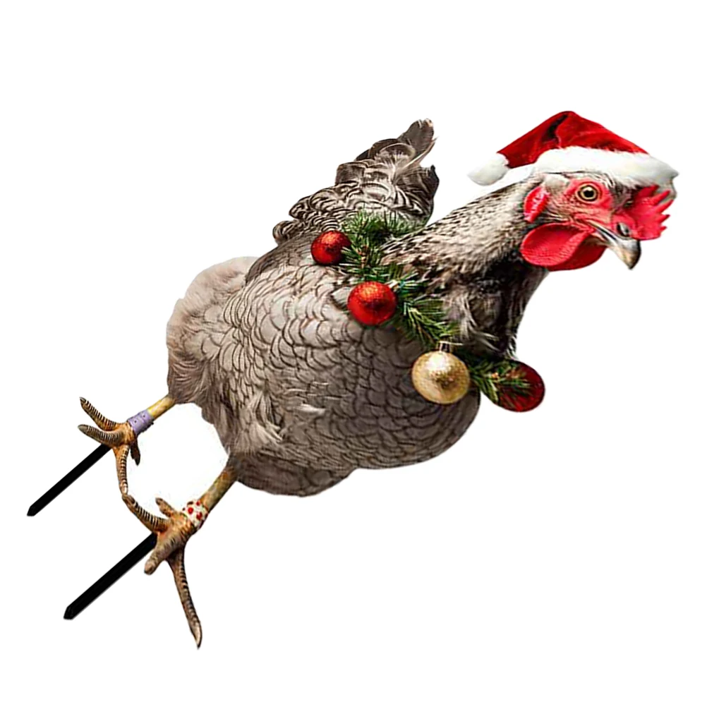 

Christmas Decorative Stake Chicken Stake Chicken Yard Decor Garden Lawn Decor Yard Ornament Outdoor Display