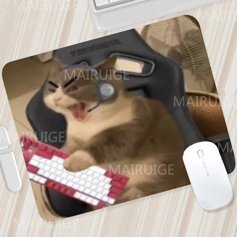 하늘색