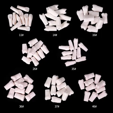 10pcs Dental Typodont Teeth Model Screw-in Removable Replacement Teeth Model for Dentist Teaching Practice