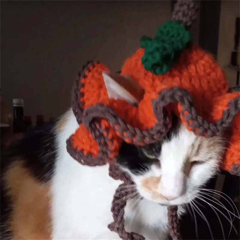 Thanksgiving Day pumpkin pattern style For pet cat hat Handmade crocheted Dog Hats Cat Accessories Pet Dog Birthday Halloween