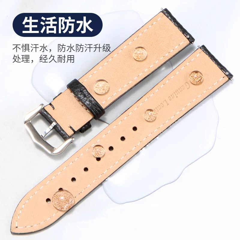 أحزمة ساعة من الجلد الطبيعي متوافقة مع متحف موفادو والفنان والرويهونج والمجموعات الكلاسيكية الحديثة (جلد البقر) 20 21 ملم