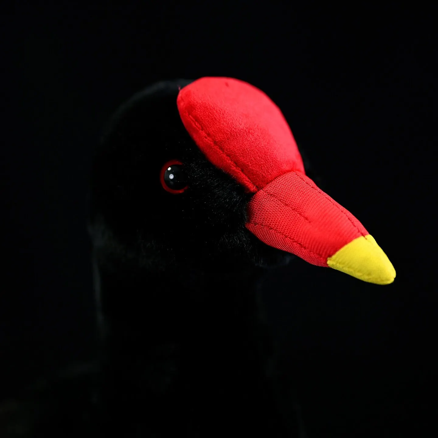 Gallinula chloropusp, Common Moorhen,Knickknack,nicknack,Small ornaments and miniature models