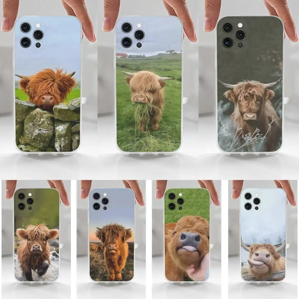 

Highland Cow Cute Animal Case For iPhone 16,15,14,17,13,12,11 Plus,Pro,Max,XR,XS,X,7,8 Plus,SE,Mini,Transparent,Silicone