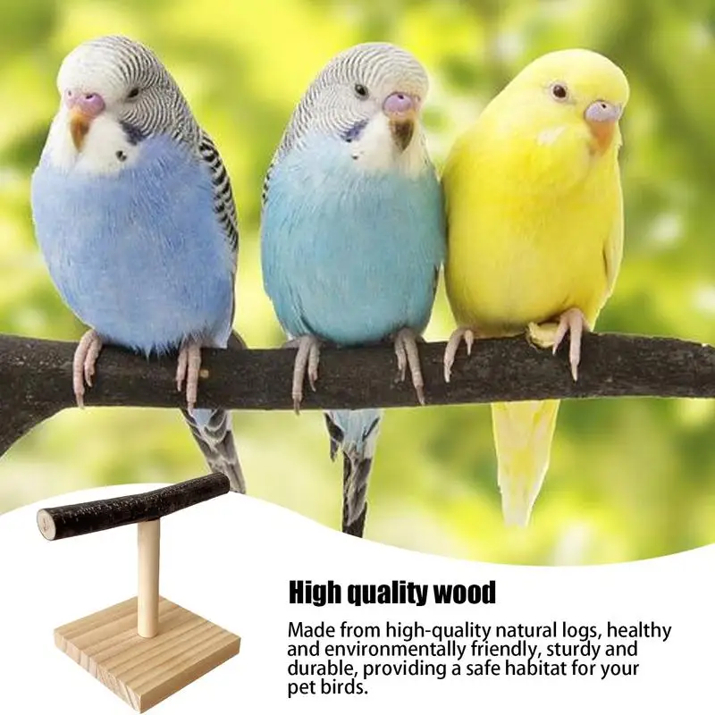 Wood Bird Training Perch T Stand, Papagaio Desktop, Finch Conures, Periquitos, Calopsitas, Quente