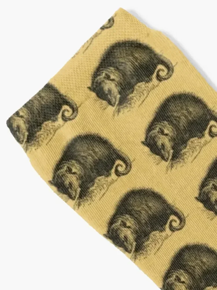 Vintage Opossum Socks cotton gift fashionable Boy Child Socks Women's