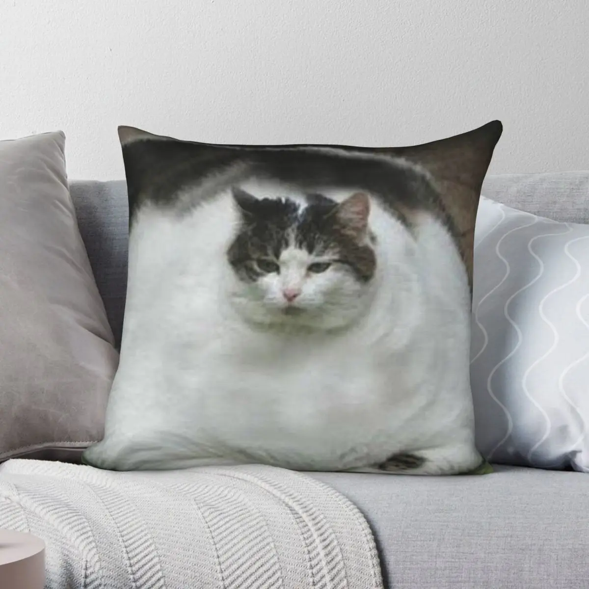 

Квадратная наволочка Fat Cat, полиэстер, лен, бархат, креативный Декор на молнии, автомобильная наволочка