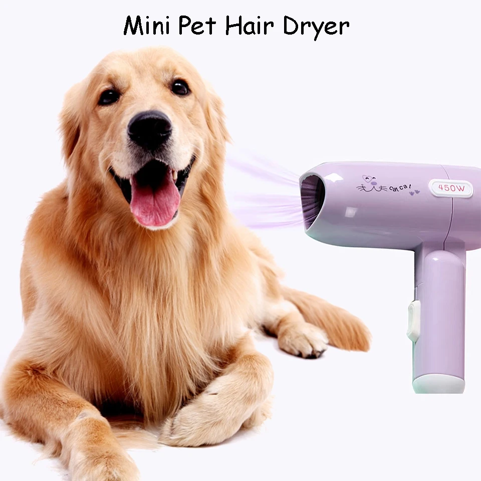 

Mini Pet Hair Dryer Household High-power Folding Dog Hair Dryer Hamster Hair Salon Mute Hot And Cold Does Not Hurt Hair