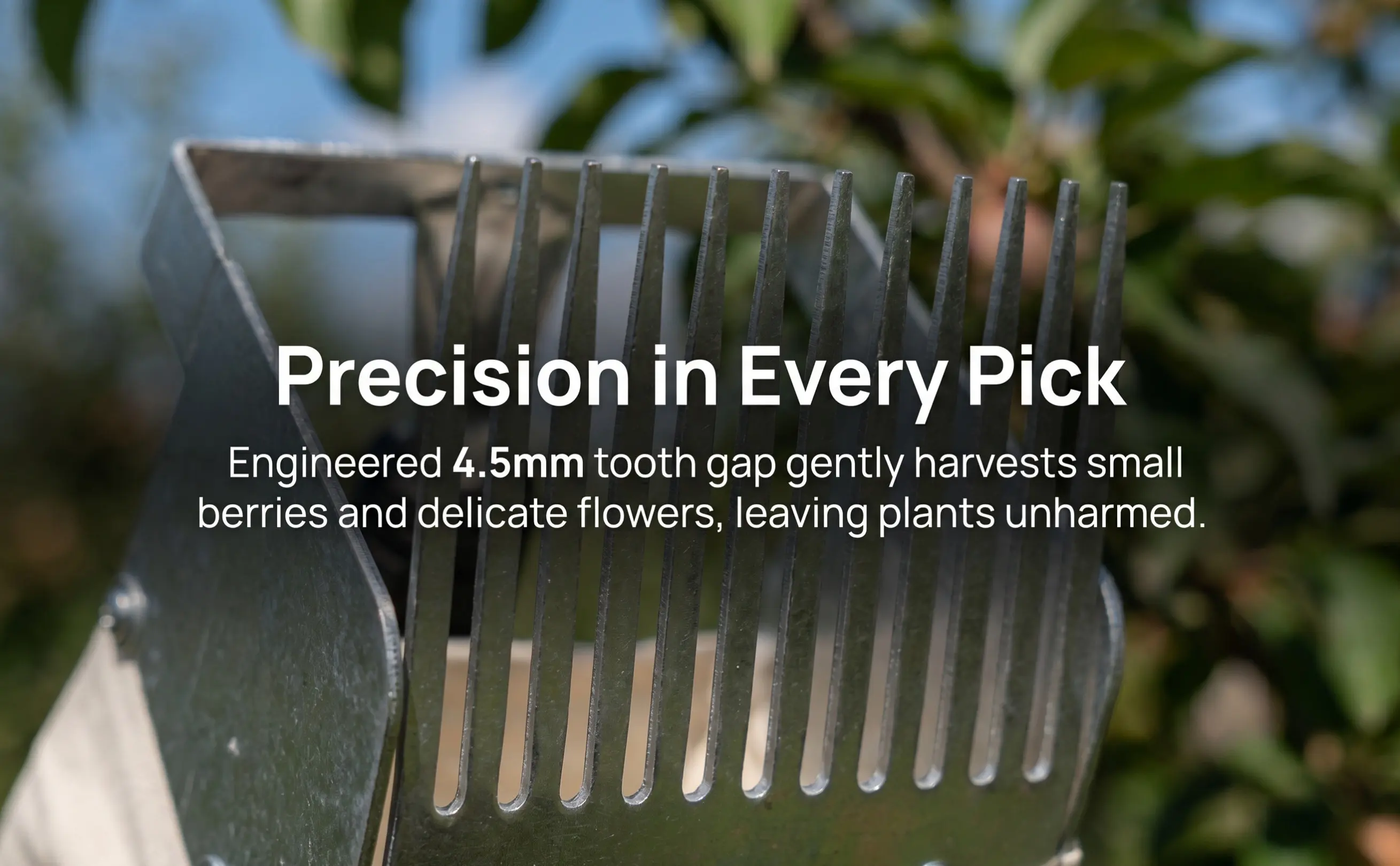 Berry Picker Portable Lightweight Blueberry Picking Tool Efficient Fruit Rake for Garden Berries Huckleberries Lingonberries