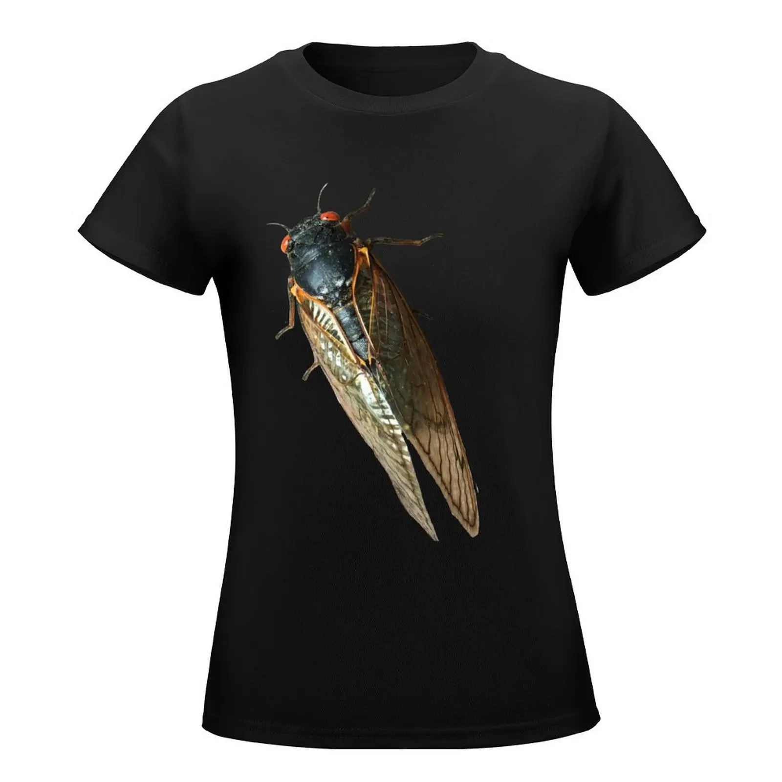 Cicada Bug Photo T-Shirt tees summer top anime clothes t-shirt dress for Women graphic