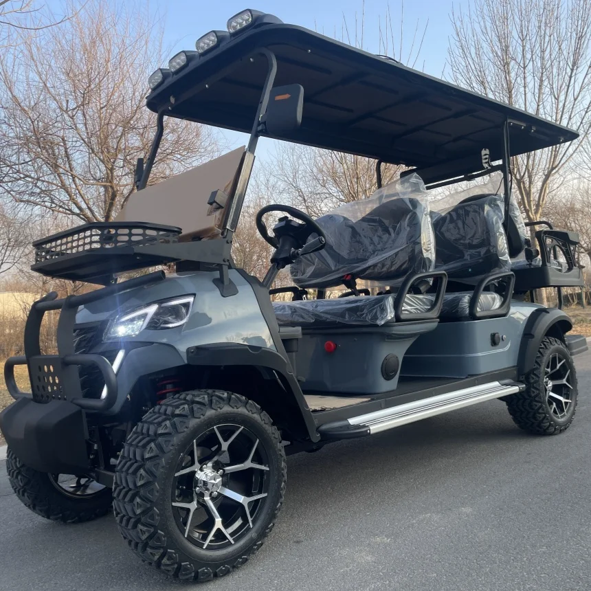 New Luxury Golf Cart Model E 2 4 Seater Waterproof Speaker Bluetooth Music LED Turn Signal Upholstered Seat Electric Golf Cart