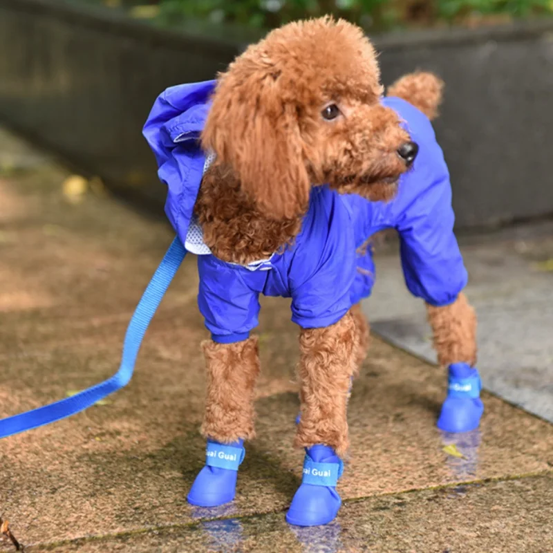 Een set blauwe huisdierregenlaarzen, siliconen antislip en waterdichte hondenschoenen en hondenvoethoezen, geschikt voor puppy's