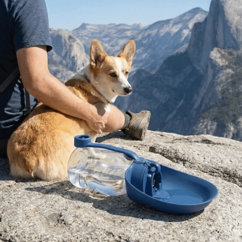 

Large Capacity Foldable Dog Water Bottle Leakproof Heat-resistant Pet Travel Cup Removable Large Caliber Dog Outing Kettle