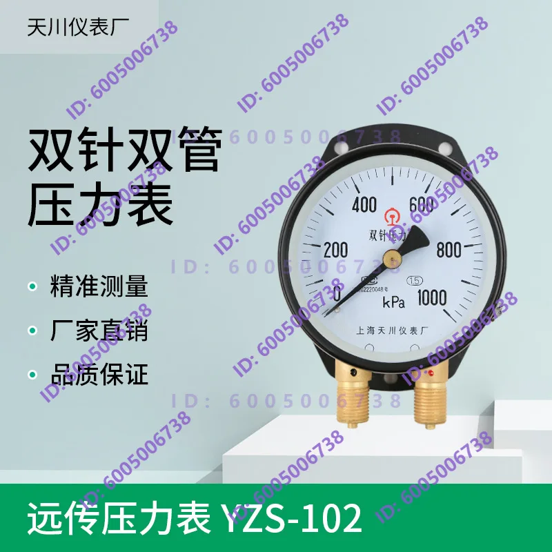 YZS-102 Double needle double tube pressure gauge Railway panel pressure gauge 1000KPa