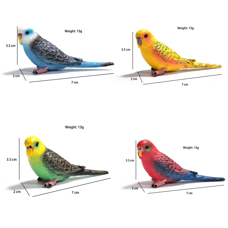 Mini Cute Simulated Parrot Children's Ornament Animal Toys Model PVC Plastic Craft Ornament Zoo Artificial Bird Statue Home image 3