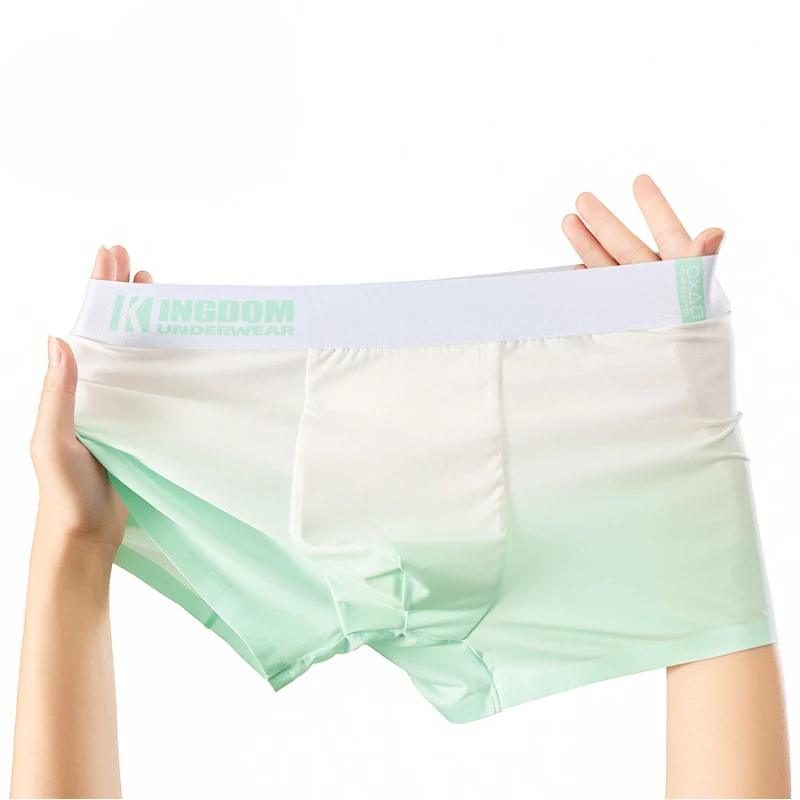 

Mens Gradient Underwear Middle Waist Thin Breathable Boxers U Convex Pouch Lingerie Underpants Soft Briefs Boxer Trunks