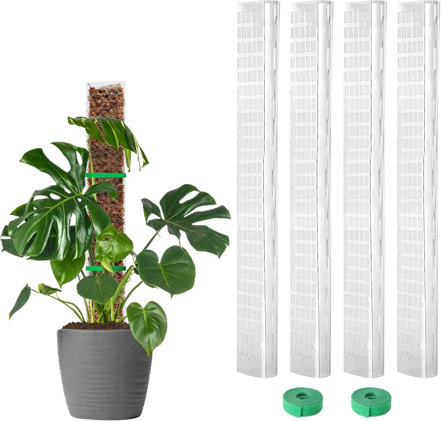 

4 шт. 24-дюймовые пластиковые опоры для монстеры, большие D-образные стойки для вьющихся растений, совместимые с мохом сфагнум, 90-дюймовые опоры для растений