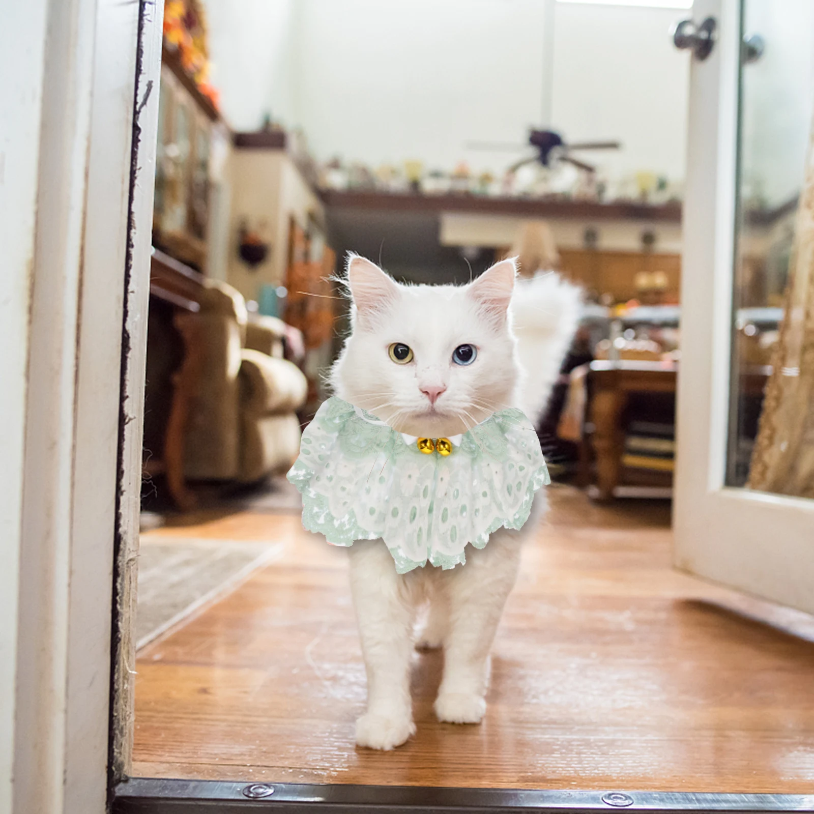 

Cat Scarf Pet Collar with Bells Lace Halloween Bib Dress up Neck Tie Cloth Neckwear