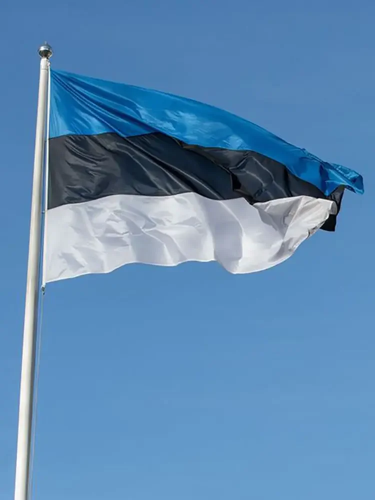 JimonFlag Estonia flag Banner 90*150cm Hanging Estonia National flag