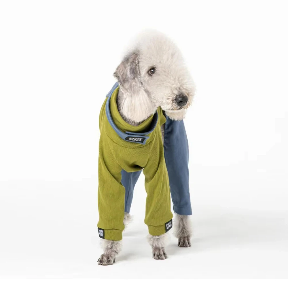 

Fashion Whippet Berlington Terrier Dog Clothes Sets Luxury Patchwork Clothing for Italy Greyhound in Spring Winter