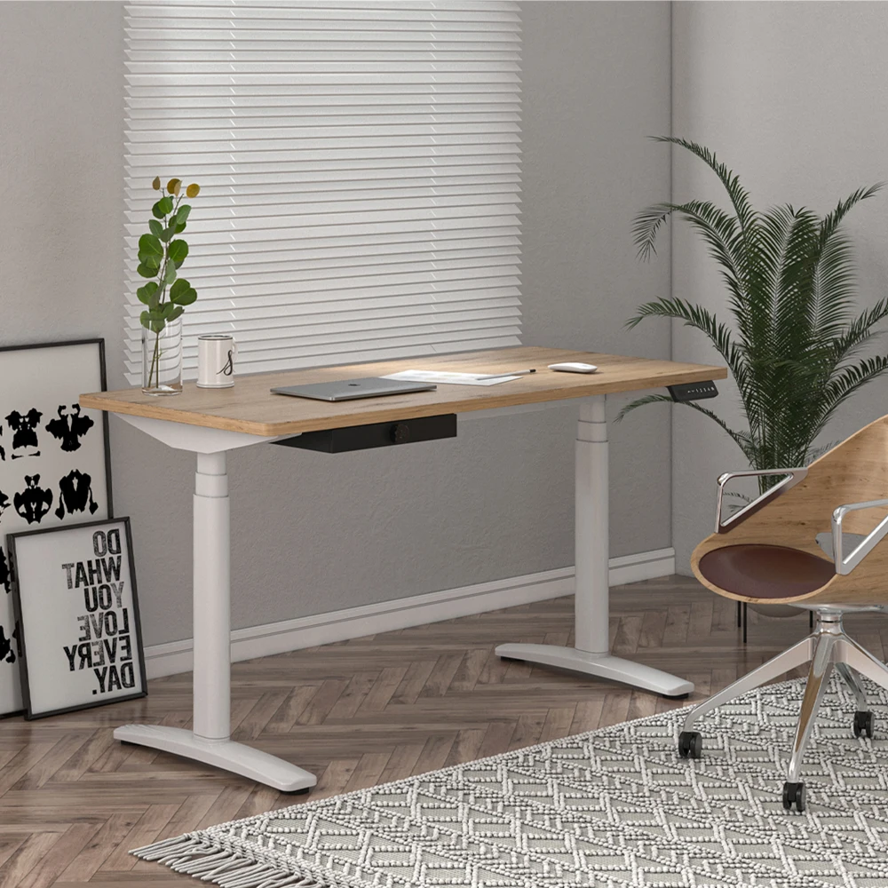 Durable Ergonomic Standing Desk with Memory Preset Modern Office Design Metal Lift Frame for Sit Stand