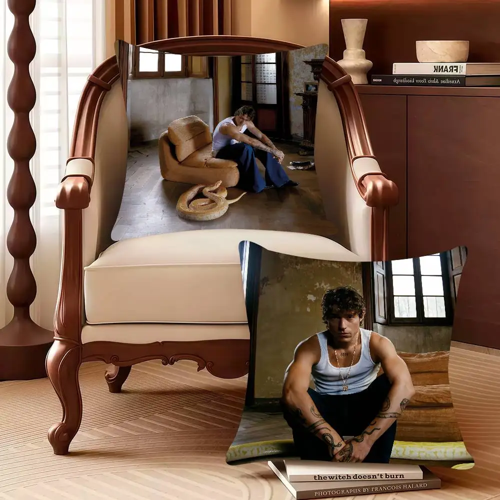 I-Irama Antologia Della Vita e Della Morte Pillow Case Decor Protective Covers Comfortable soft for Sofa Living Room Home office