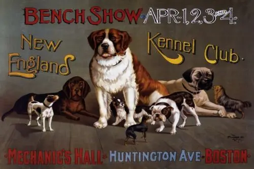 Kennel Club Dog Show Advert Vintage Retro style Metal Plaque Sign, pet, home sign