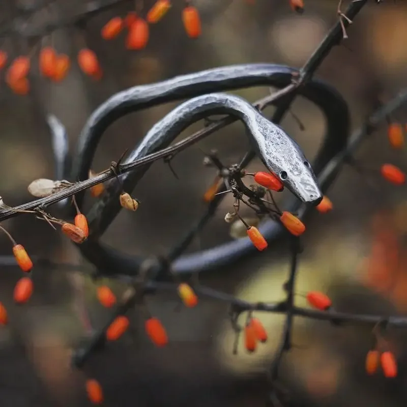 Hand-forged iron, bracelet personalized snake bracelet jewelry iron