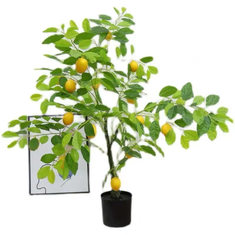 محاكاة شجرة الليمون، نباتات خضراء جديدة، نباتات شجرة الليمون الكبيرة بوعاء