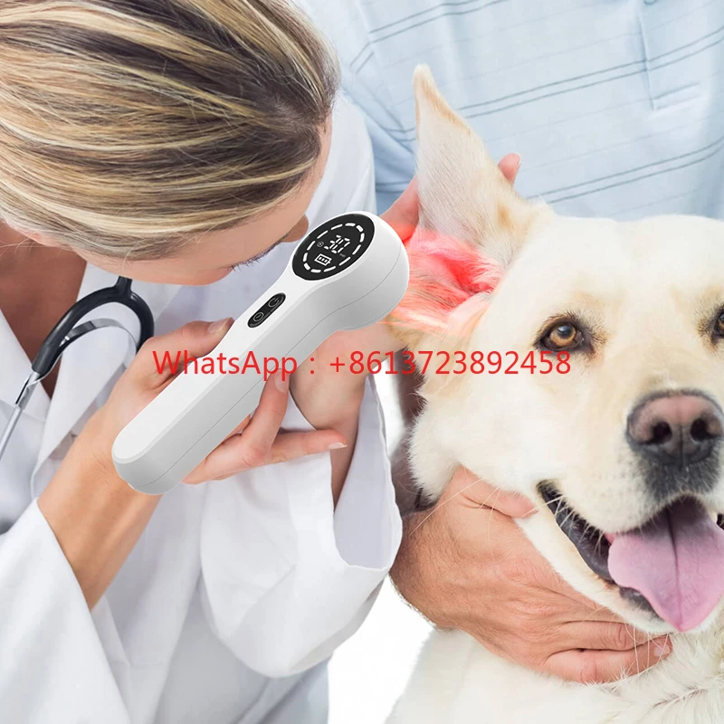 Factory Price Veterinary Physiotherapy Photobiomodulation Pharyngitis Rheumatoid Arthritis Knee Pain Arthritis Treatment