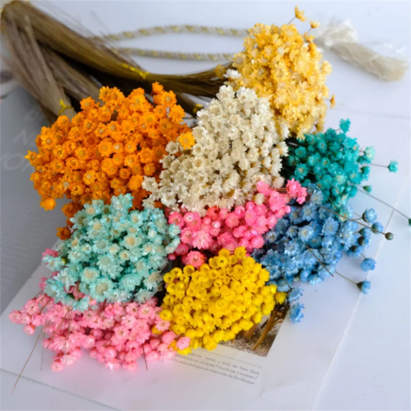 100pcs Natural Dry Flowers Brazilian Small Star Daisy Decorative Mini Dried Flower Bouquet for Wedding Floral Arrangements Craft