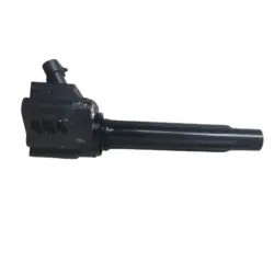 Coil for lifan X80 2.0T
