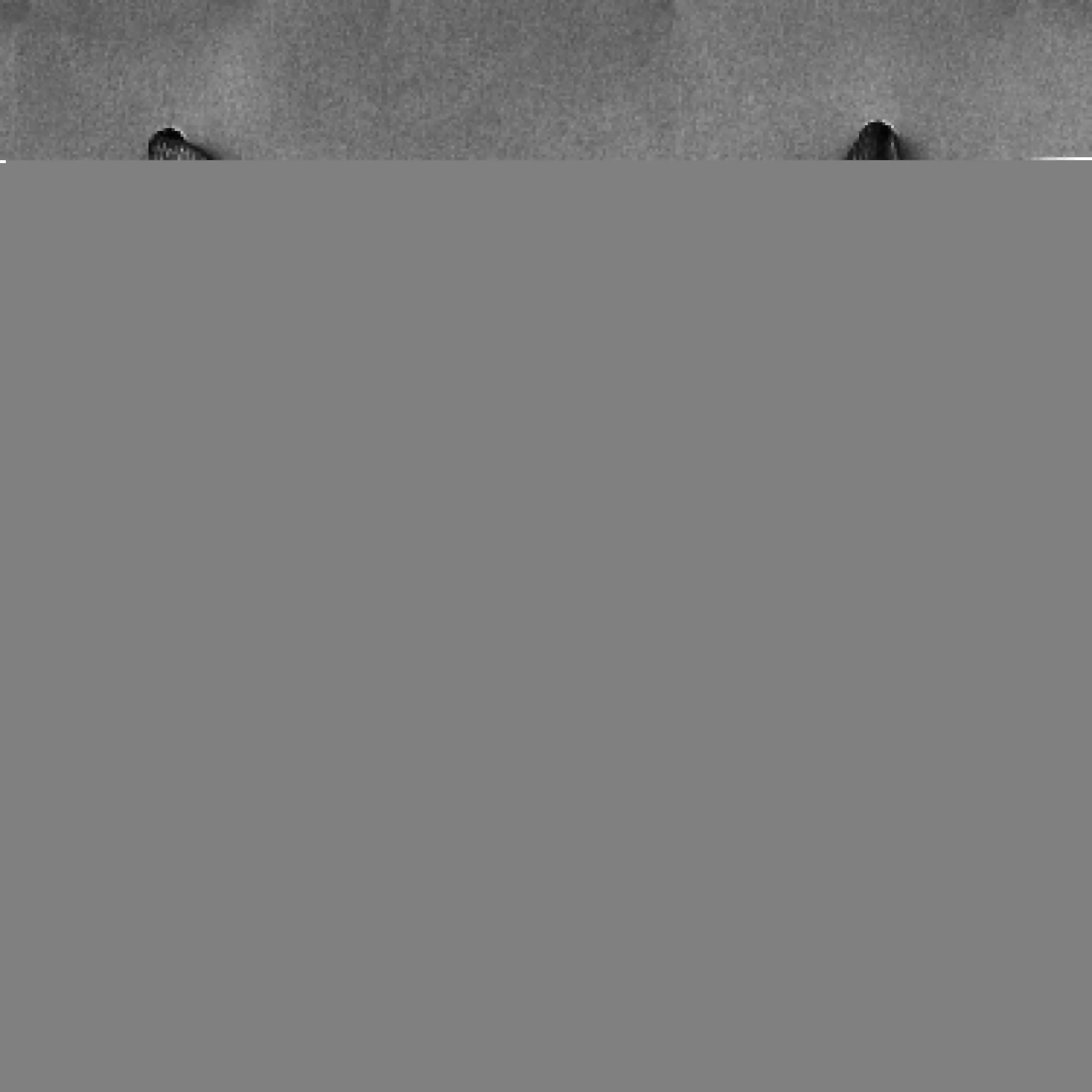 أكياس ورق كبيرة متعددة الألوان، 8 × 10 بوصة، 13 قطعة