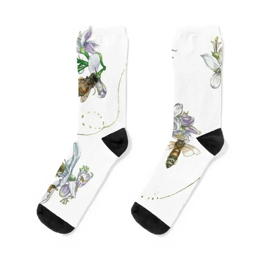 

Bee Symphony Socks Stockings gifts Men's Socks Luxury Women's