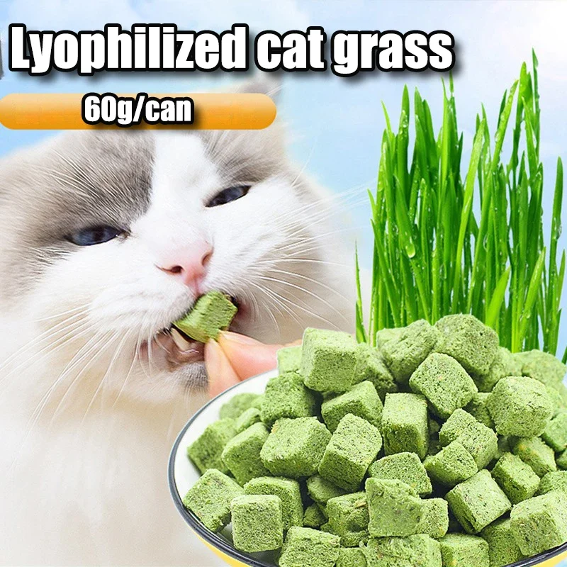 60g Cat Grass Freeze-dried Snacks for Kittens To Soften Hair Balls Molar Teeth and Clean Teeth Training Reward Cat Snacks Food