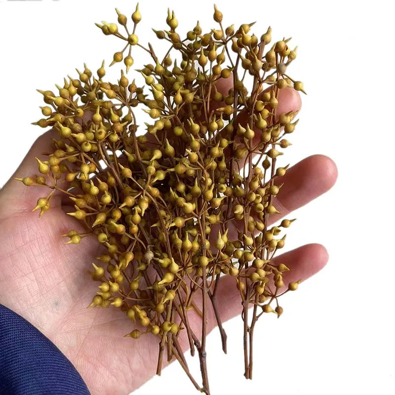 12PC/5~12CM Real Natural Dried Flowers Preserved Mini Fruits Branches DIY For Wedding Garland,Christmas Decoration,Candle Making