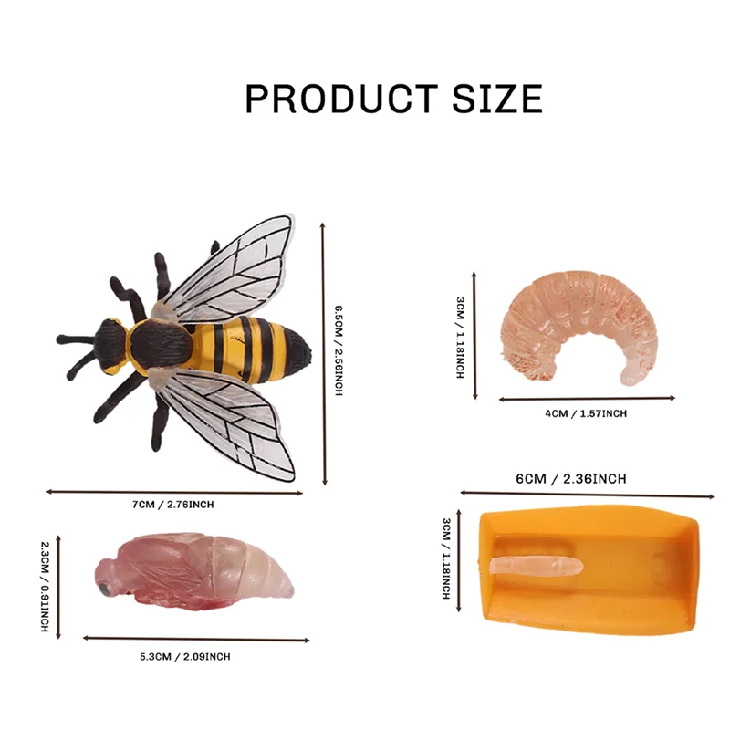 WOWFU-Pack Of 4 Insect Figurines Life Cycle Of Honey Bee Realistic Insects Figures  Educational Science Model
