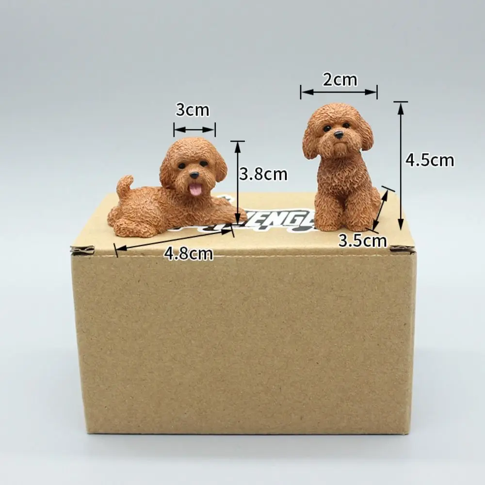 Simulazione Figure di cani barboncino Artigianato in resina Modello di cucciolo Mini ornamento animale Figurina in miniatura Action figure di cani Kawaii